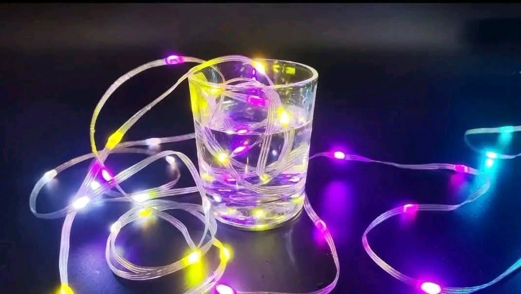 32ft/10M Fairy Strip Lights Remote & App Control